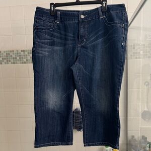 INC International Concepts Dark Blue Women's Bermuda Shorts 16W